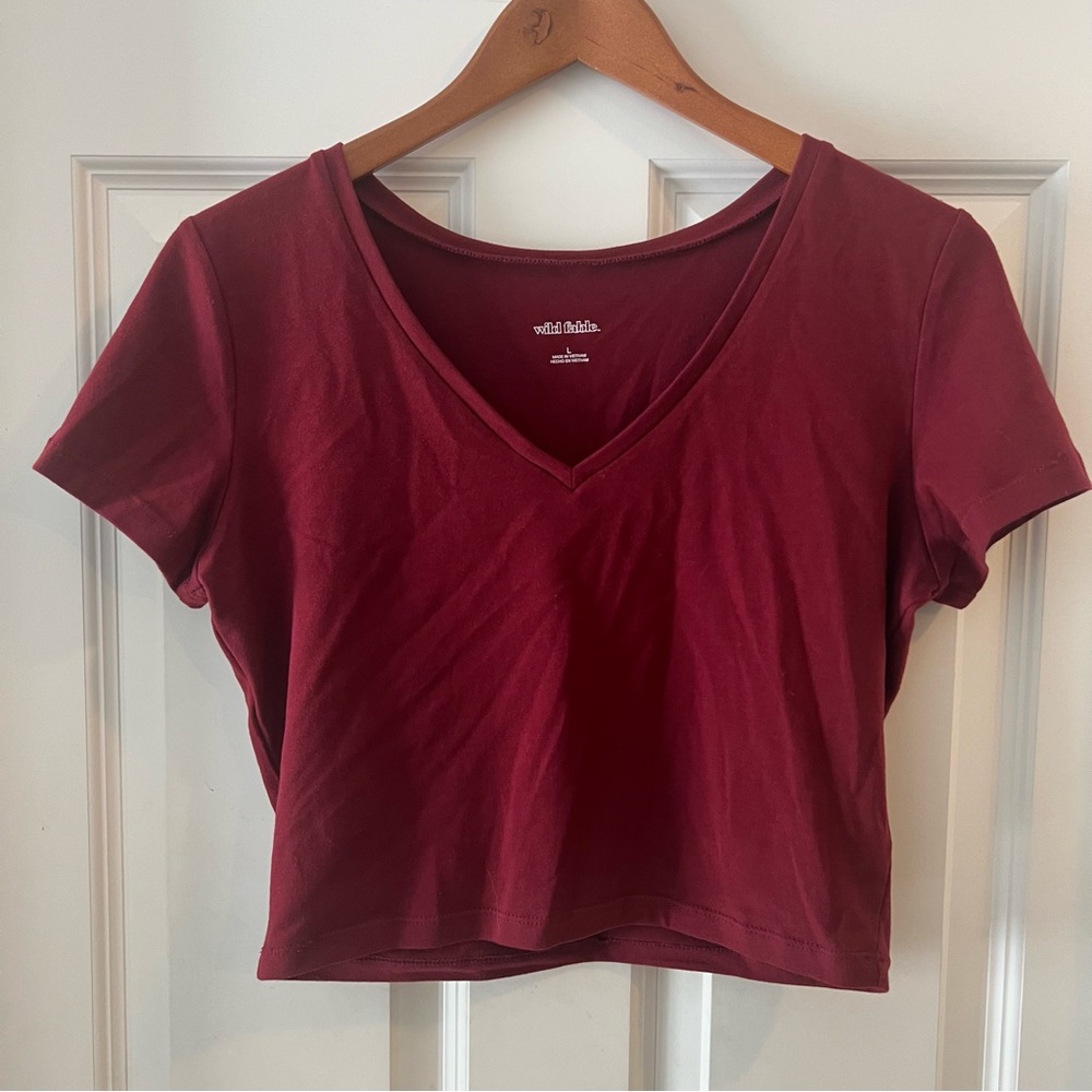 Wild Fable Women's Deep Red V-Neck Crop Top